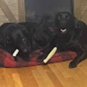 Meet your Posher, Murphy mechanical & machine, llc